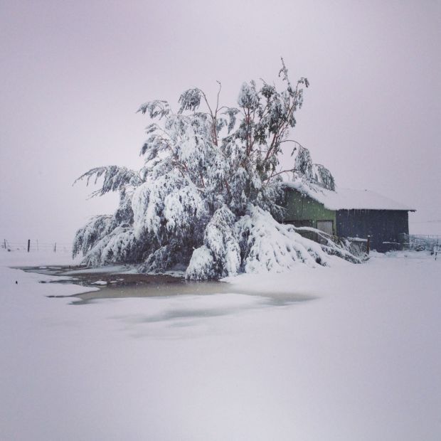 Winter Storm Atlas